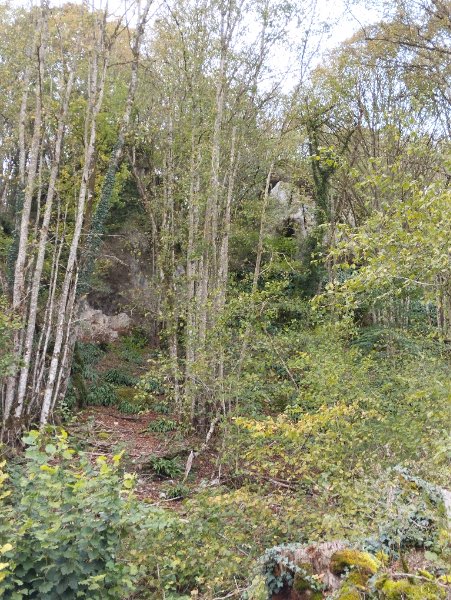 Falaise des grottes de Vaudîmes (vue de loin)
Fichier manquant